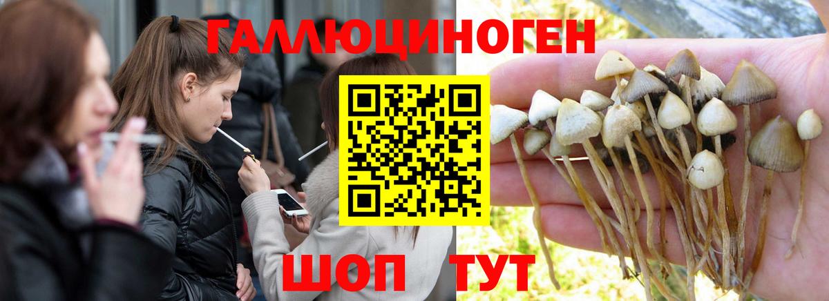 Луга  Галлюциногенные грибы MAGIC MUSHROOMS  Вход с VPN 