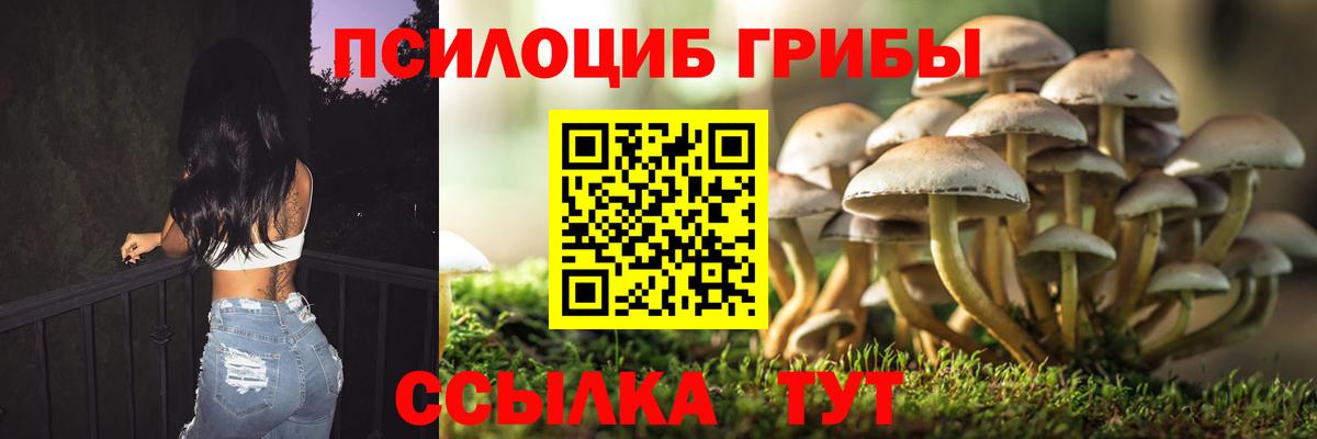 Галлюциногенные грибы Cubensis Луга
